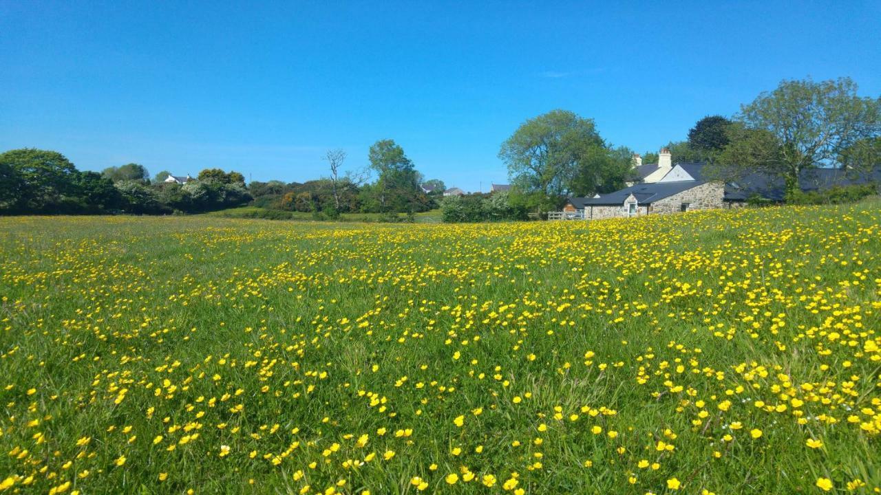 The Barn At Cae Bach Gwalchmai Exterior foto